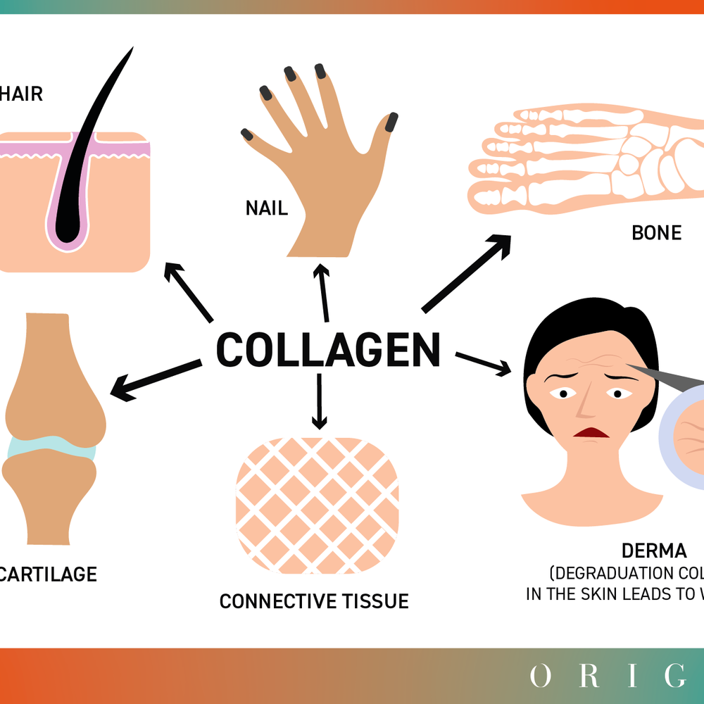 The main functions of collagen and expert advice for taking collagen efficiency